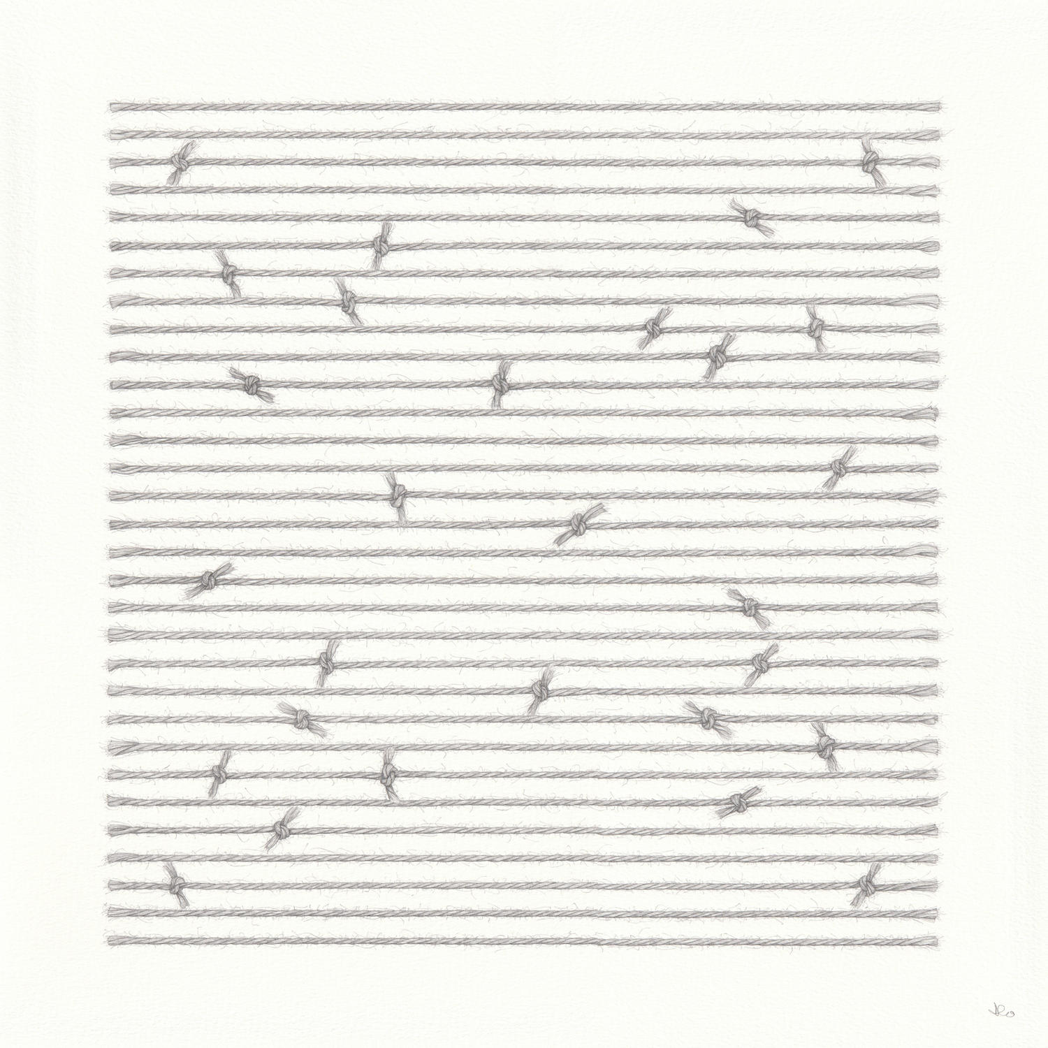 Birds on Wire <br>(38 x 38 cm) pencil on paper